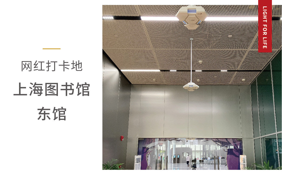 222nm Far UVC Excimer Disinfection Lamp Safe for Human Exposure, Whole Space Air Surface Sterilizing Light Home Hospital Office Use